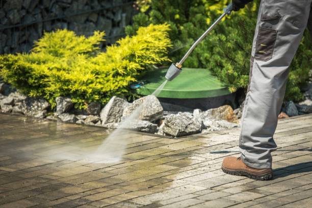 Best Solar Panel Cleaning  in Greenville, TX