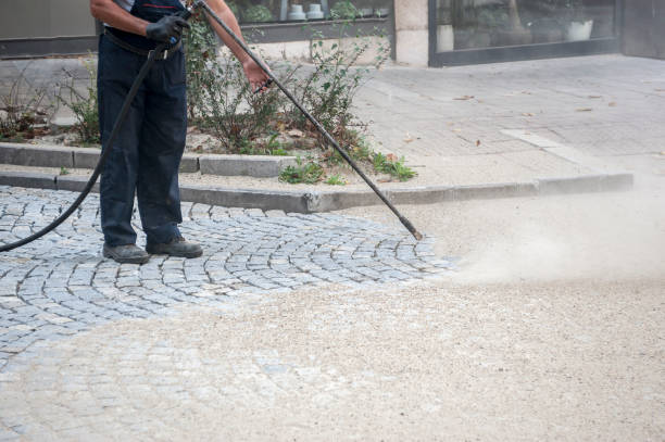 Best Animal Enclosure Cleaning  in Greenville, TX